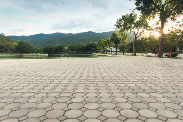 Best Driveway Paving Contractor  in Edgewater, NJ